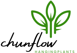 cropped HangingPlants.png